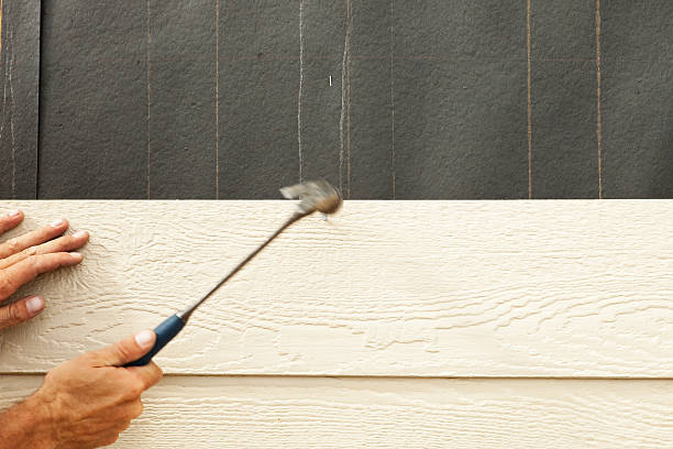 Best Stucco Siding  in Palestine, TX